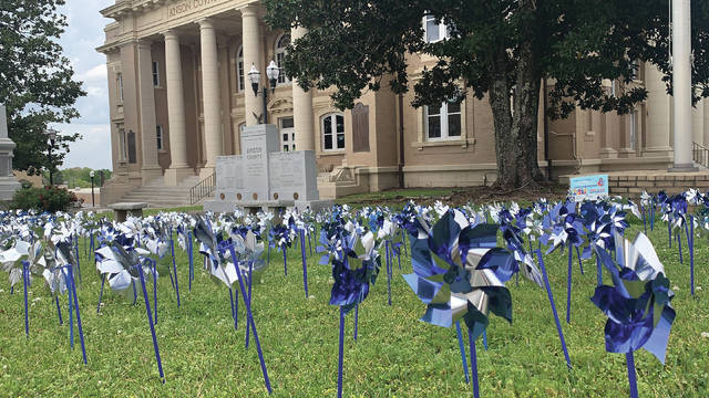 Pinwheels line the Anson County Courthouse lawn to raise awareness for Aprils Child Abuse Prevention Month.
                                 Liz O’Connell