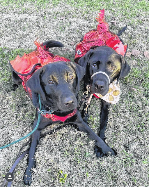 They are representing UGA in all the red!
                                 Contributed photo