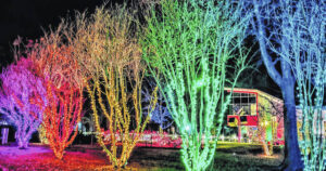 School system’s Christmas Card to feature student, teacher art