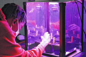 Out of this world: Anson students grow vegetables for NASA