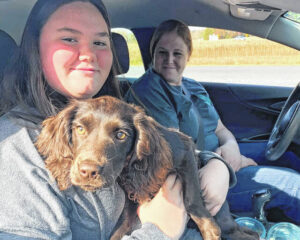 Animal Shelter continues to vaccinate pets
