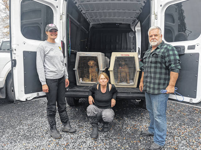The Anson County Animal Shelter sends animals with rescues and volunteers.
                                 Contributed photo