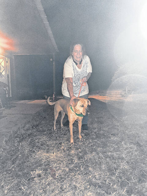 Joan Young is fostering a dog.
                                 Contributed photo