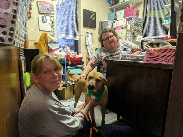 Jenny Wieczorek and Maureen Lett prepare a dog for rescue.