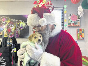Animal shelter celebrates Christmas and other blessings