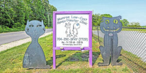 Rescue launches spay and neuter program