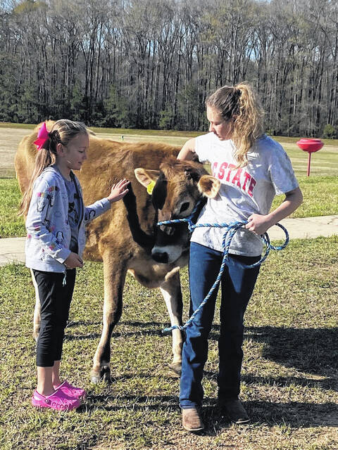 A Peachland-Polkton Elementary School student meets a cow. 
                                 Contributed photo
                                Contributed photo
