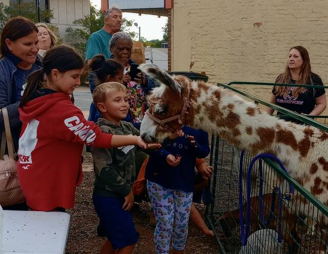 Siblings, Maddison and Kaiden Johnson, made memories at the Anson Family Fun Fest.