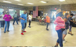 Making the case for physical activity among older adults