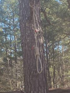 Noose removed from tree by Anson Sheriff’s Office