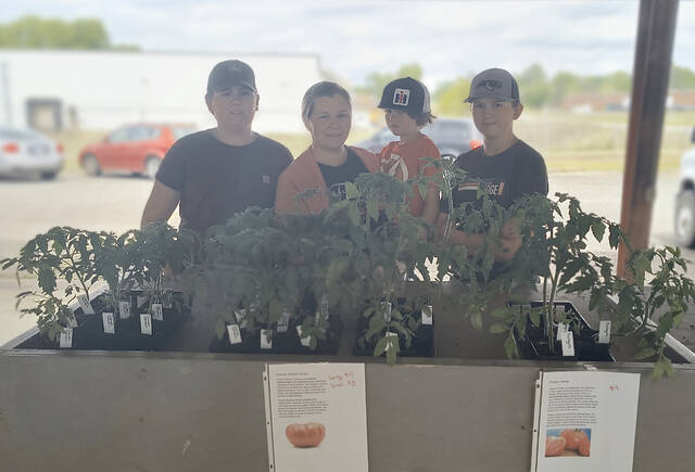 Flush from the finanacial reward of their hard work, the Pope children pose with their proud mom, pictured here (left to right), Adaline Pope, Ginger Pope, Hawkins Pope, and Maebry Pope. 
                                 Lauren Monica | Anson Record