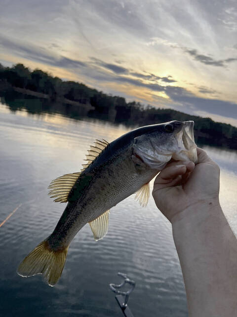 Provided courtesy of Navy Yard Outdoor Adventures