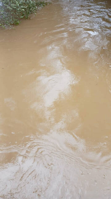 Image of the particles observed by Bob Johnson following Tropical Storm Debby
Provided courtesy of Bob Johnson