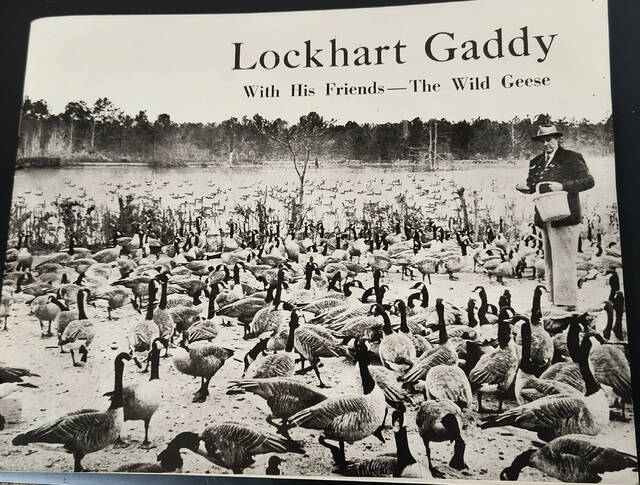 Lockhart Gaddy With His Friends the Wild Geese is a treasure trove of local tales and information about Gaddy Pond
                                 Contributed courtesy of JD Bricken