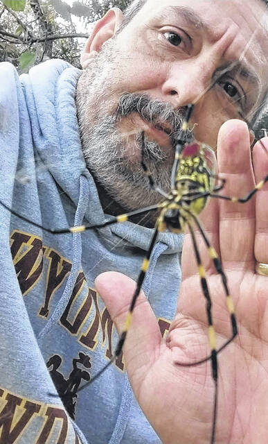 Joro spiders are already common sights in Upstate South Carolina. Pictured is Jon Strickland next to a Joro in Pickens County, SC, using his hand for scale. (Photo by Kasie Strickland).